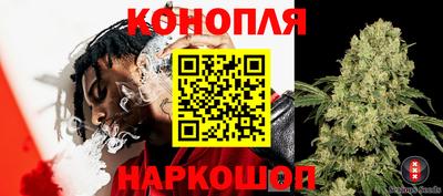 ПСИЛОЦИБИНОВЫЕ ГРИБЫ Ипатово